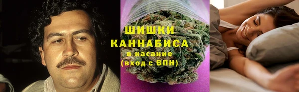 apvp Бугульма