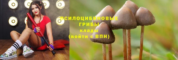 COCAINE Бородино