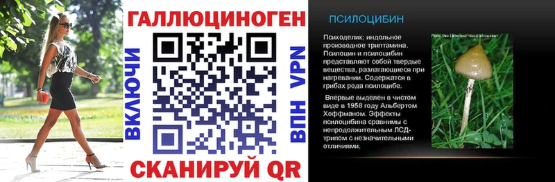 mega ссылка  Волосово  Галлюциногенные грибы GOLDEN TEACHER 